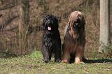 BRIARD 061